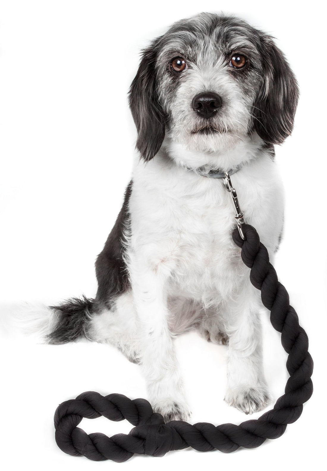 Industrial Strength Dog Leash1