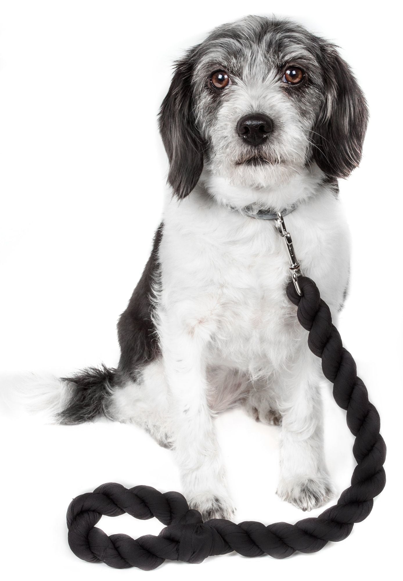 Dog leash double-stitched nylon webbing detail