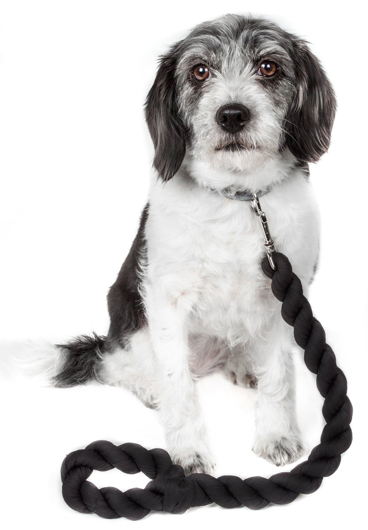 Dog leash double-stitched nylon webbing detail
