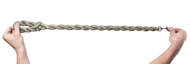 Industrial Strength Dog Leash11