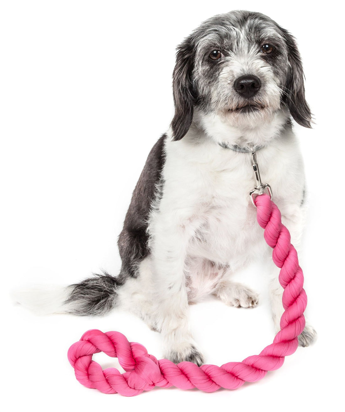 Industrial Strength Dog Leash13