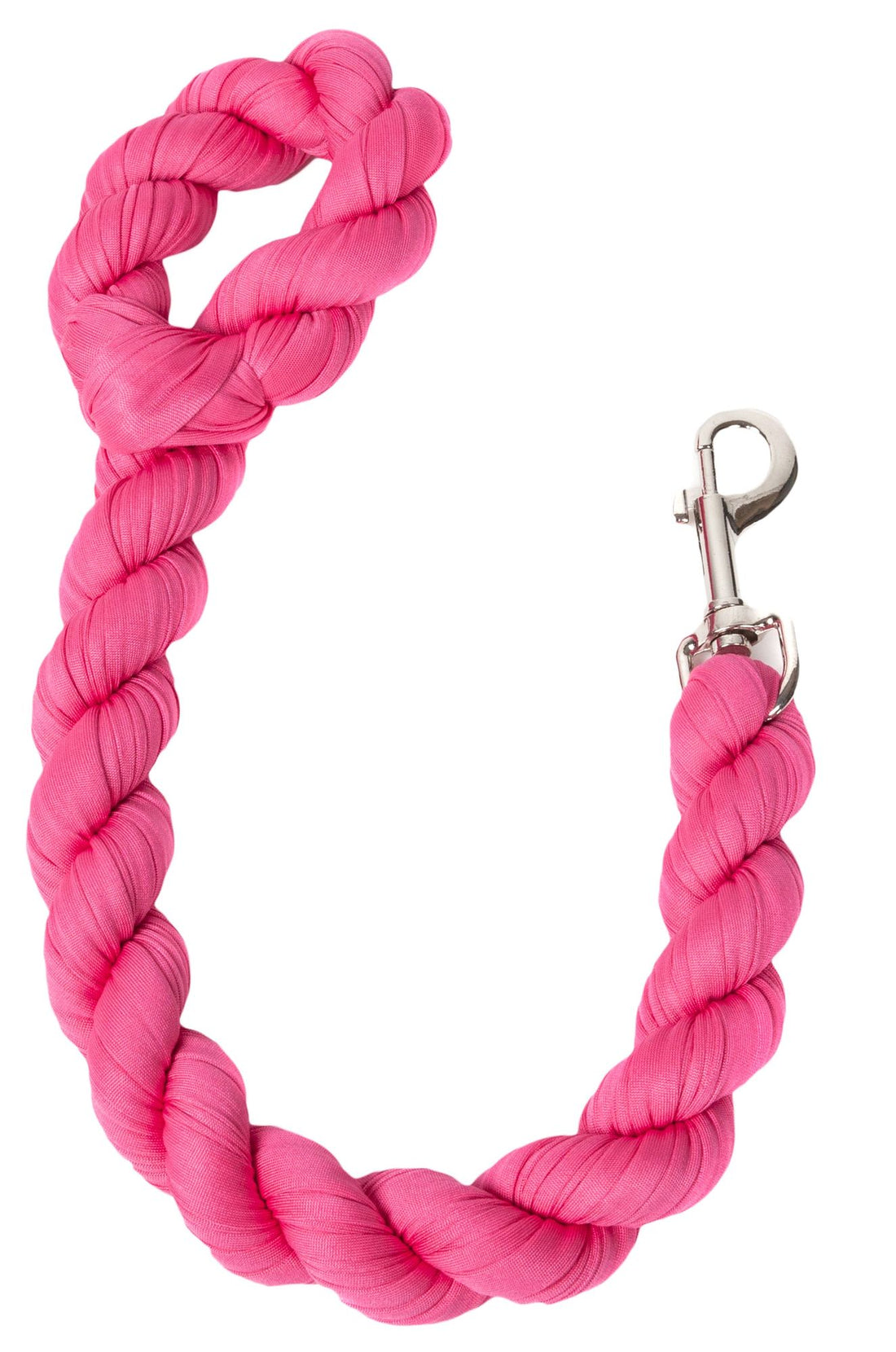 Industrial Strength Dog Leash14