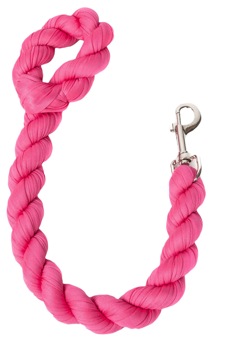 Industrial Strength Dog Leash14