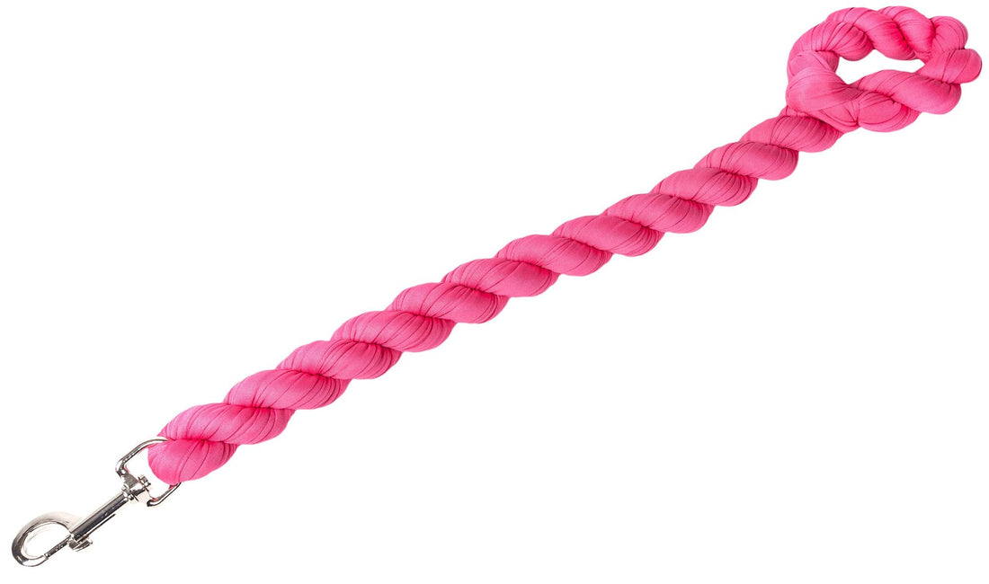 Industrial Strength Dog Leash15