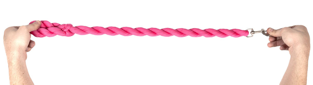 Industrial Strength Dog Leash17