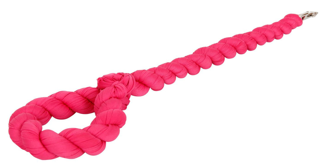Industrial Strength Dog Leash18