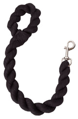 Dog leash corrosion-resistant metal clasp