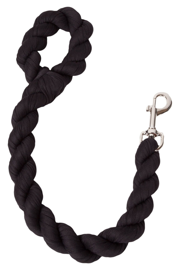 Dog leash corrosion-resistant metal clasp