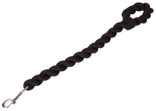 Dog leash padded handle grip close-up