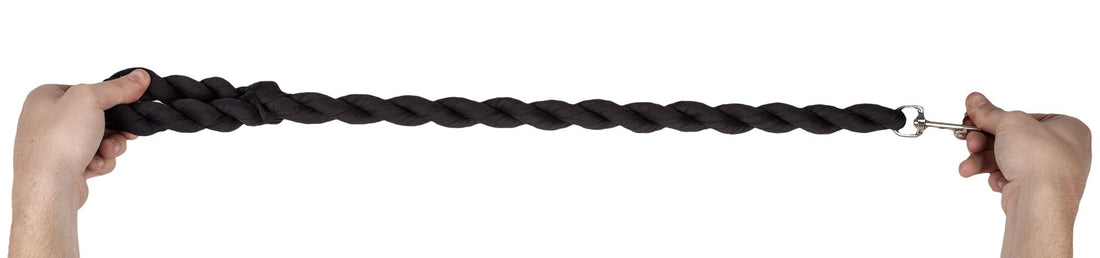 Industrial Strength Dog Leash5