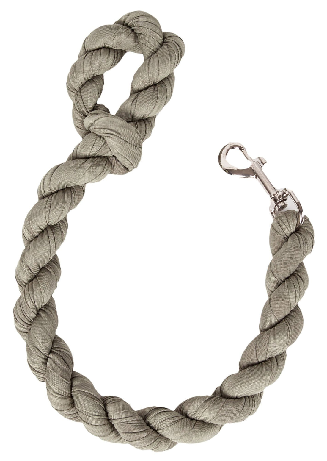 Industrial Strength Dog Leash8
