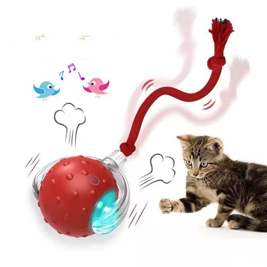 Interactive cat toy ball USB rechargeable main view