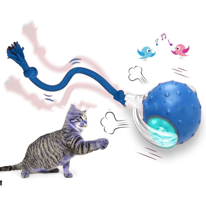 Interactive cat toy ball in motion with cat playing