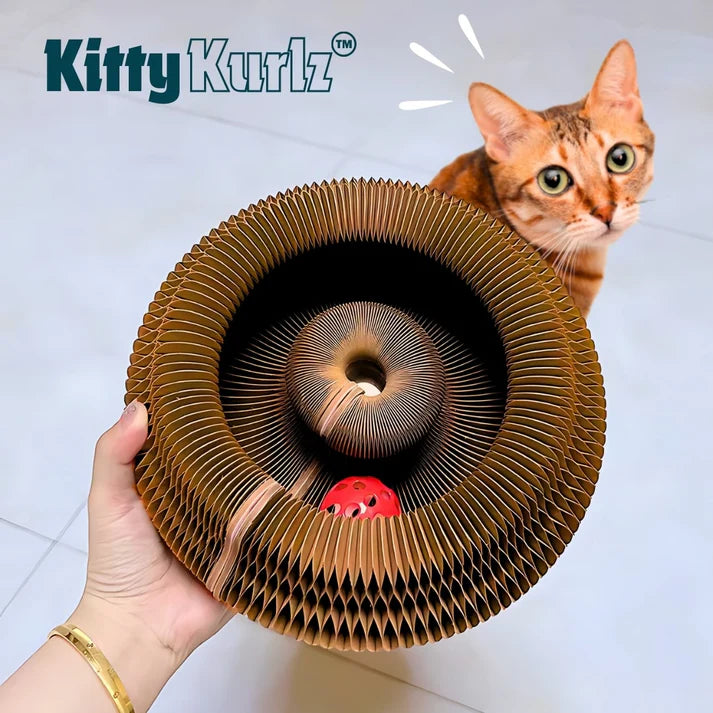 Accordion-fold cardboard spiral scratcher with a red perforated ball toy nested in the center track