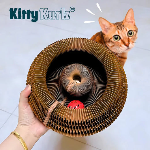 Accordion-fold cardboard spiral scratcher with a red perforated ball toy nested in the center track