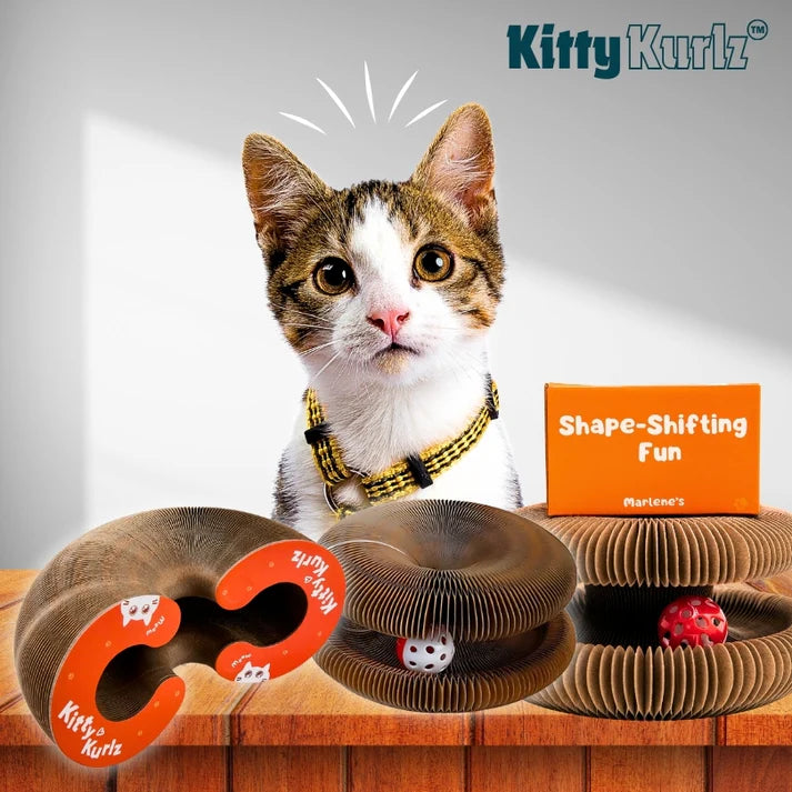 Kitty Kurlz Interactive Cat Scratcher Toy with Ball Track - view 3