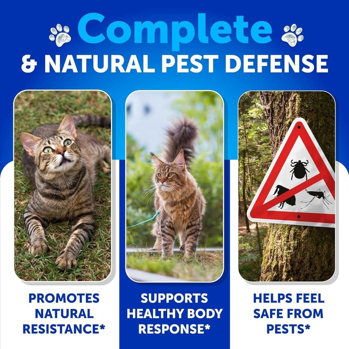Natural Flea Tick Cat Chews2