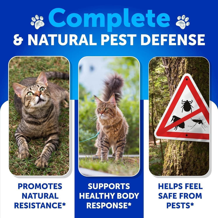 Natural Flea Tick Cat Chews2