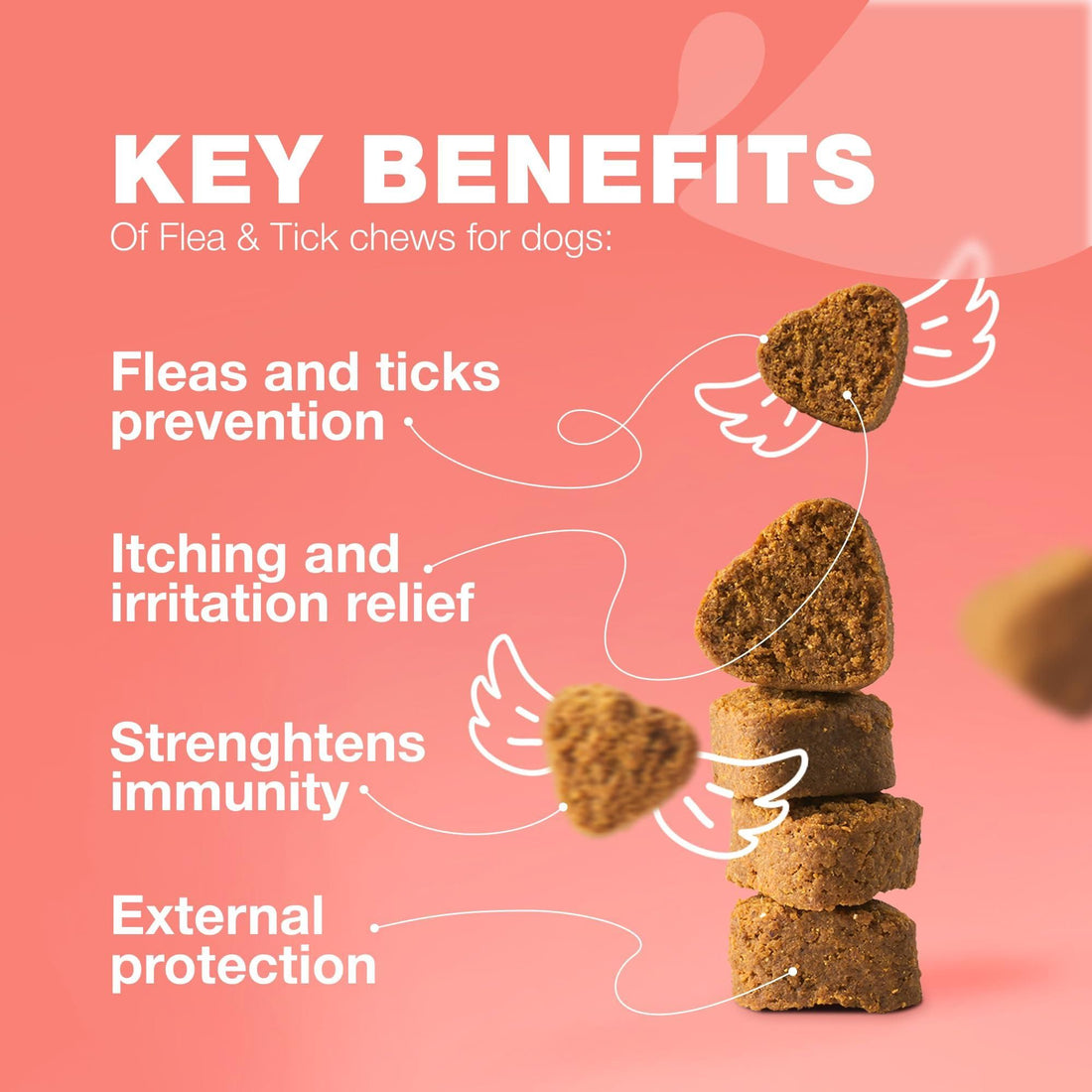 Natural Flea & Tick Dog Chews detail view 3