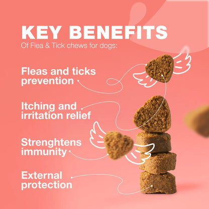 Natural Flea & Tick Dog Chews detail view 3
