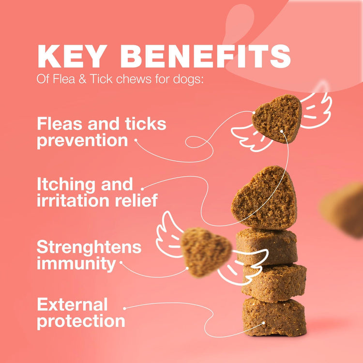 Natural Flea & Tick Dog Chews detail view 3