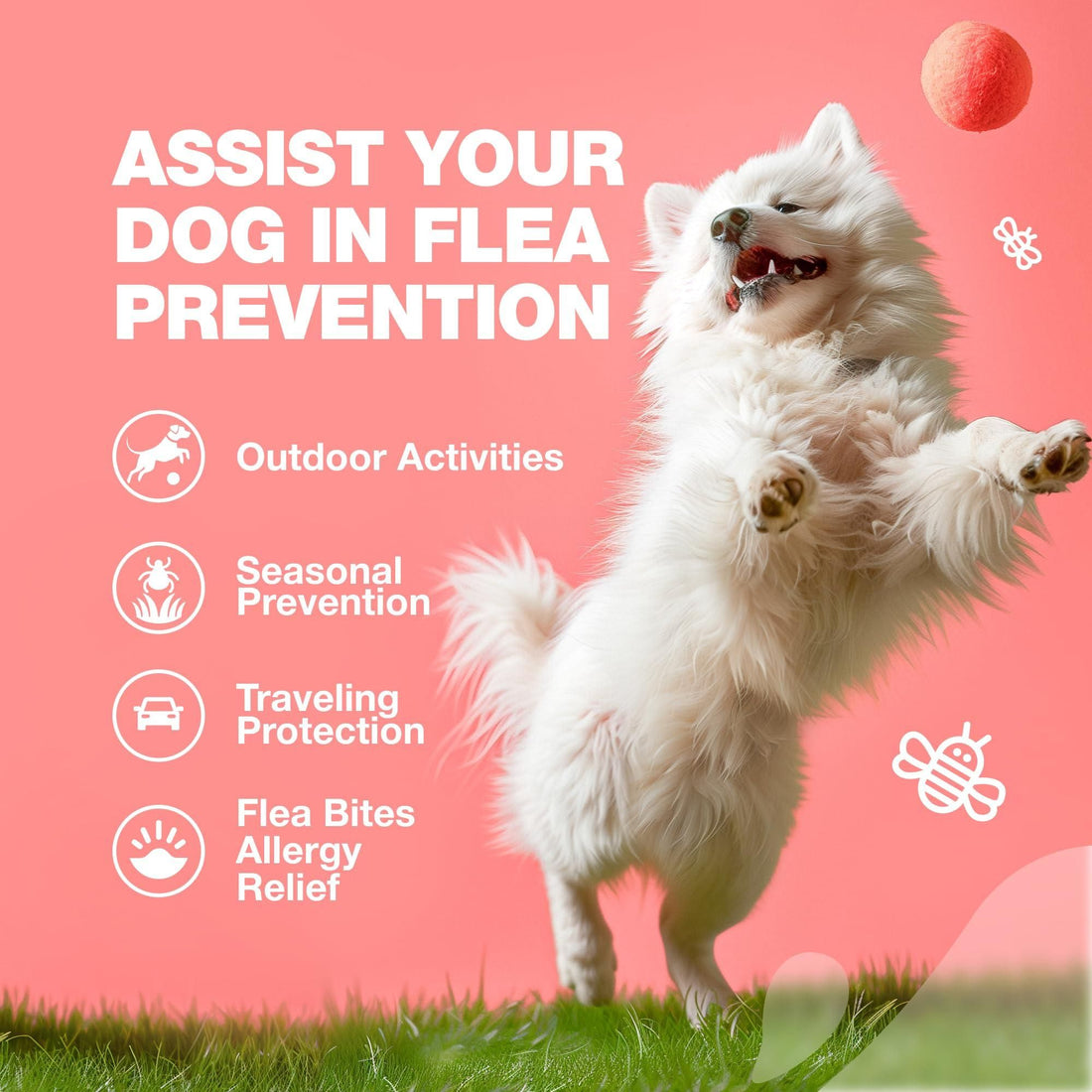 Natural Flea & Tick Dog Chews detail view 4