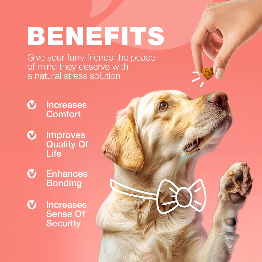 Natural Flea & Tick Dog Chews detail view 8