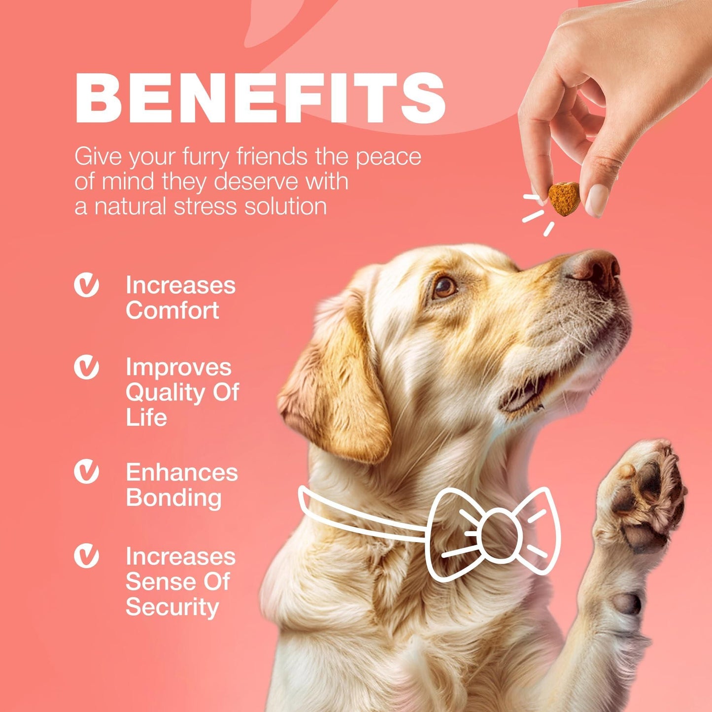 Natural Flea & Tick Dog Chews detail view 8