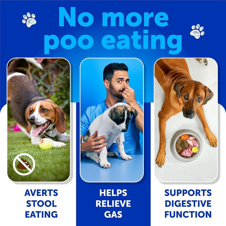 No Poo soft chews for dogs side view