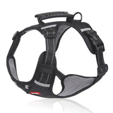 Dog and cat harness sizing from XS to XL