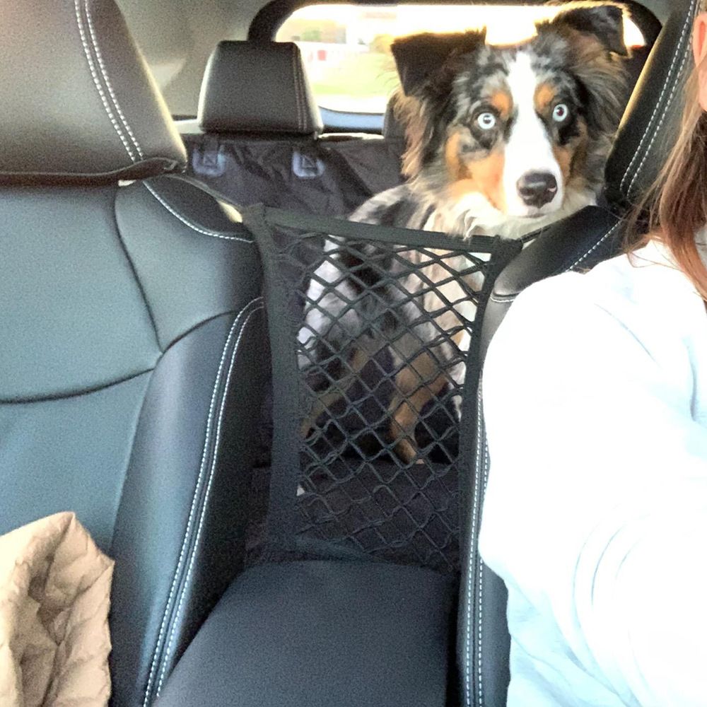 Pet Car Isolation Safety Net