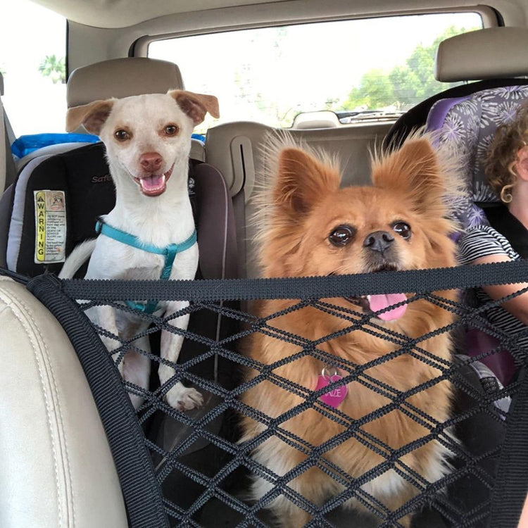 Pet Car Isolation Safety Net3