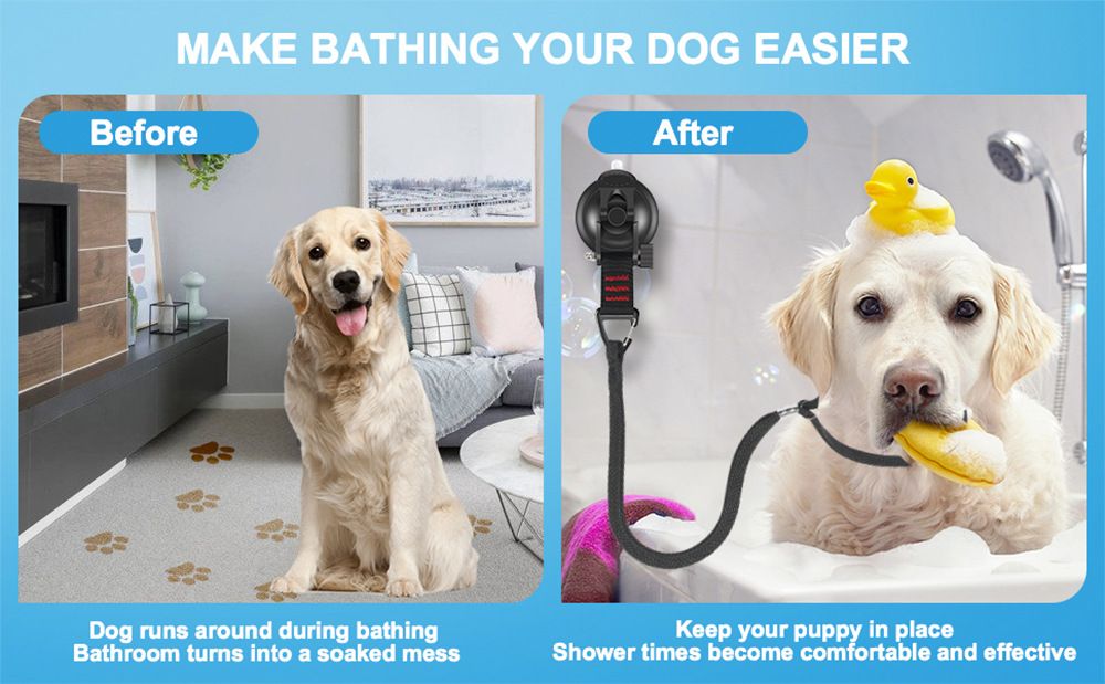 Dog secured by traction rope on grooming table