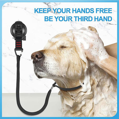 Pet Grooming Table Traction Rope9