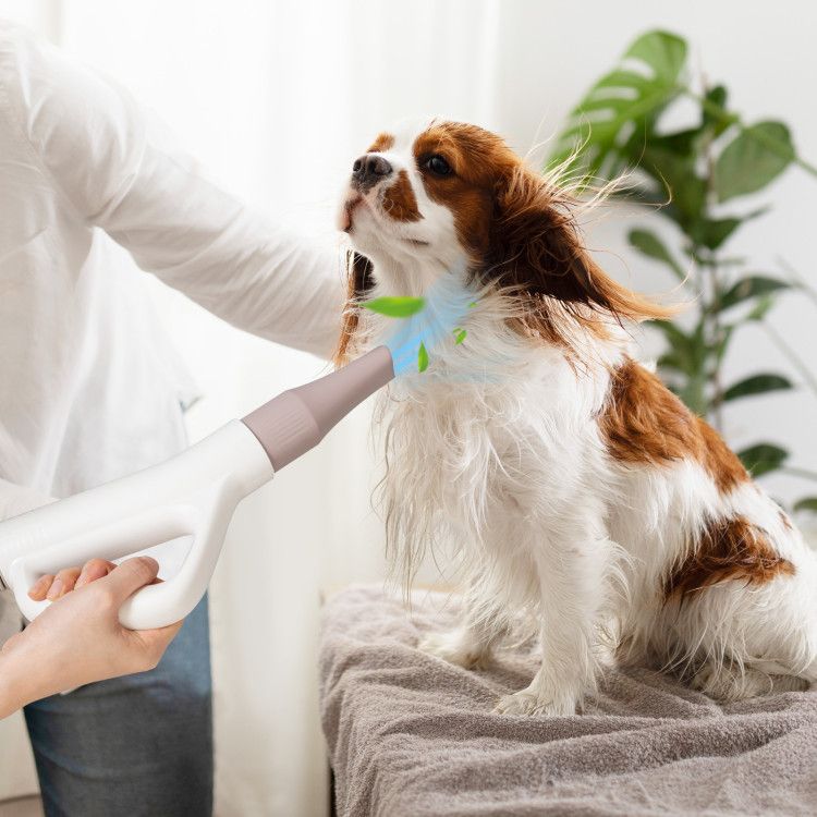 Pet Hair Blower Ionic Dryer1