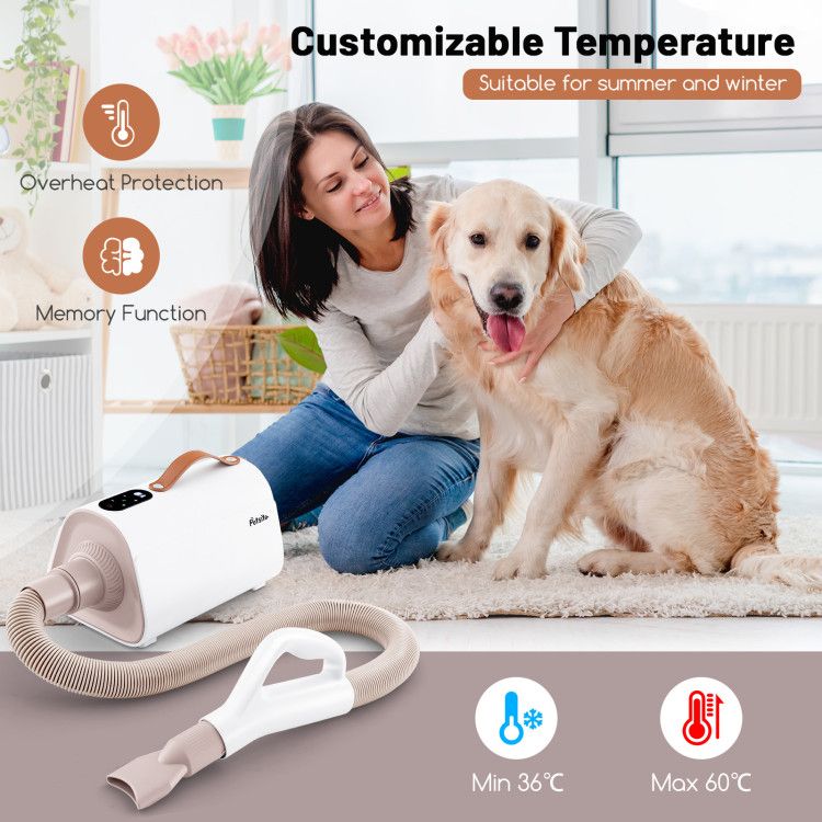 Pet Hair Blower Ionic Dryer2