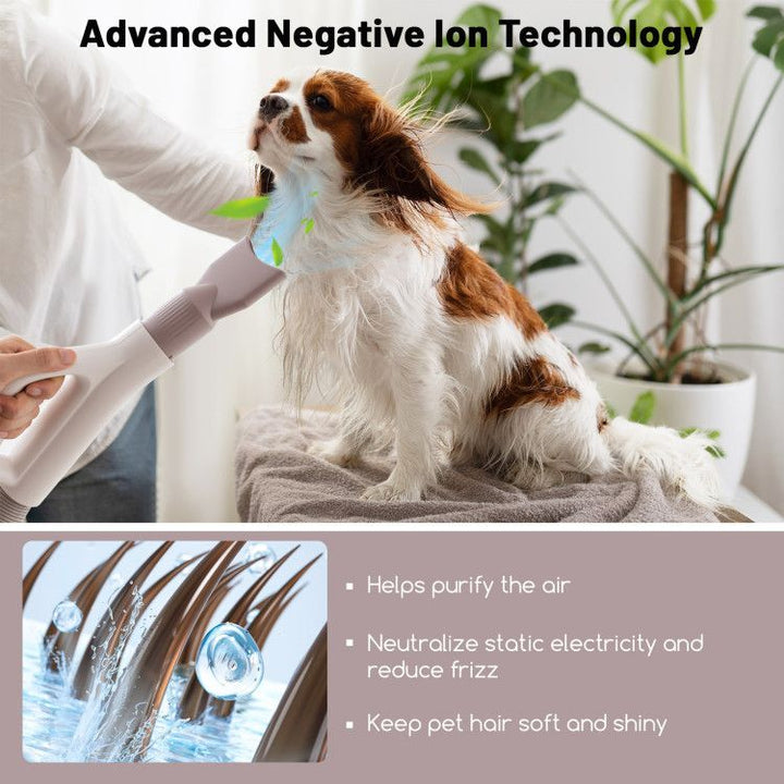 Cat being dried with pet ionic hair dryer