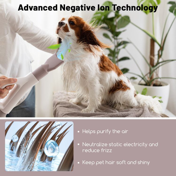 Pet Hair Blower Ionic Dryer4