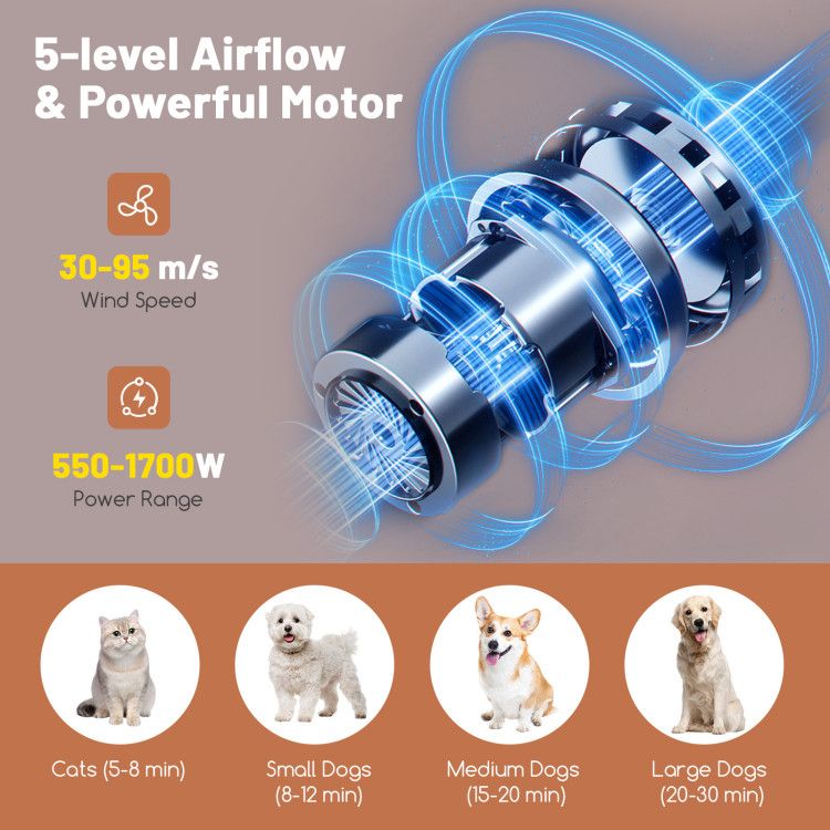 Pet Hair Blower Ionic Dryer6
