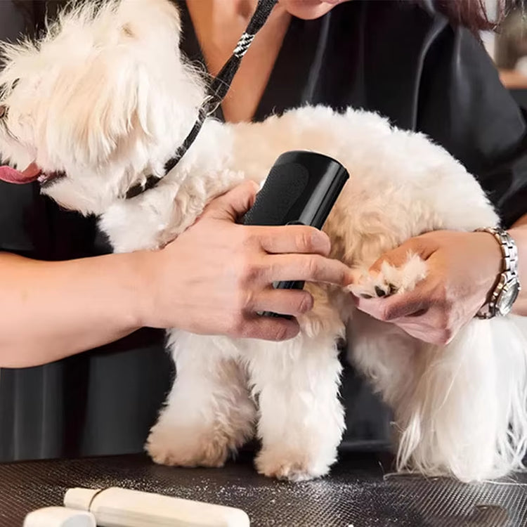 Reusable pet hair tool collecting dog hair off bedding