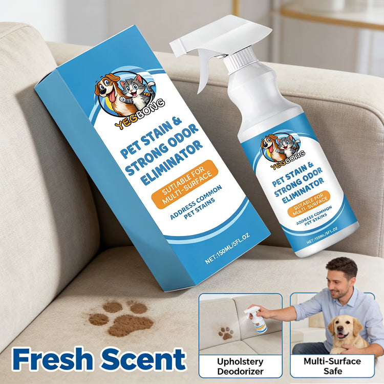 Pet stain remover applied to carpet, cleaning detail