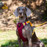 Dog sling carrier worn across the chest, hands-free pet carrier