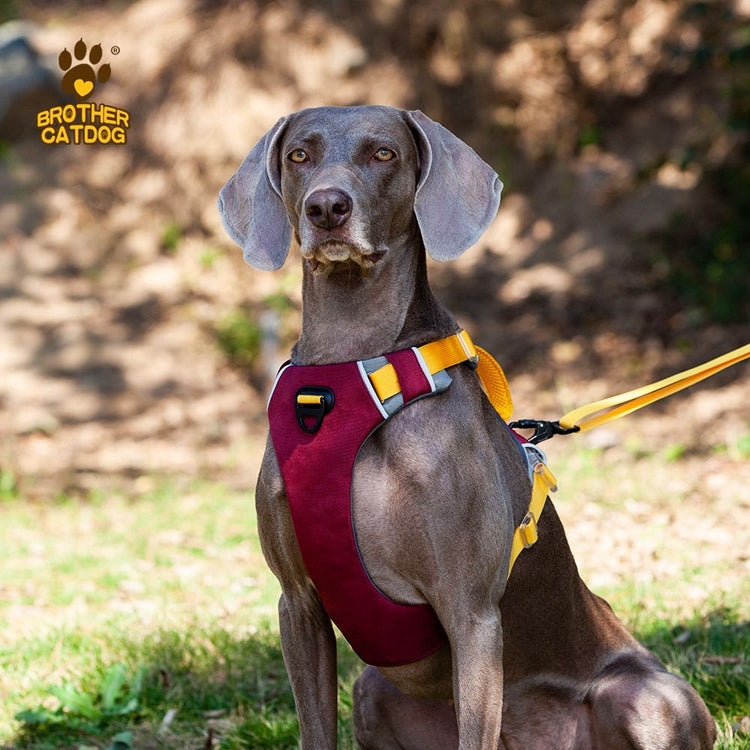 Dog sling carrier worn across the chest, hands-free pet carrier