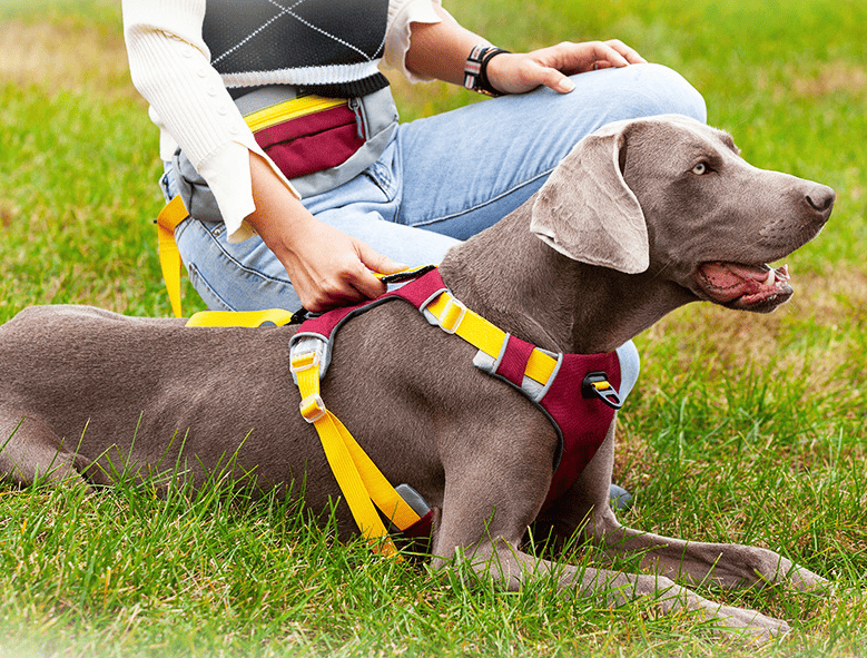 Dog sling carrier color and size detail view