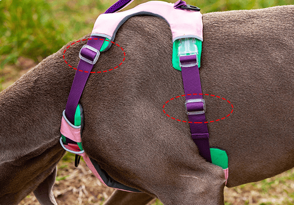 Pet sling carrier strap and adjustment detail