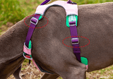 Pet sling carrier strap and adjustment detail