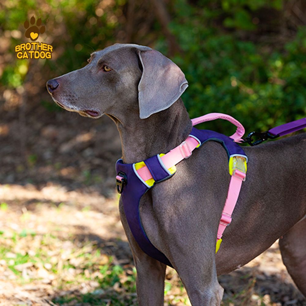 Pet chest sling carrier shown on owner standing outdoors