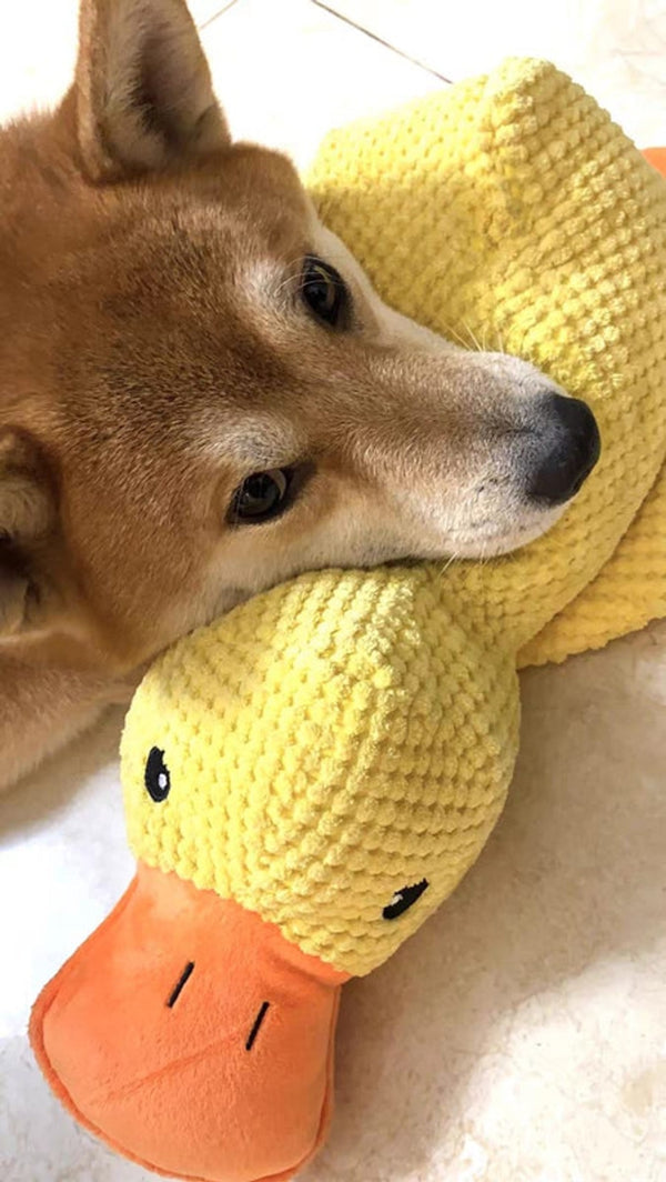 QuackGuard indestructible dog toy duck with reinforced squeaker
