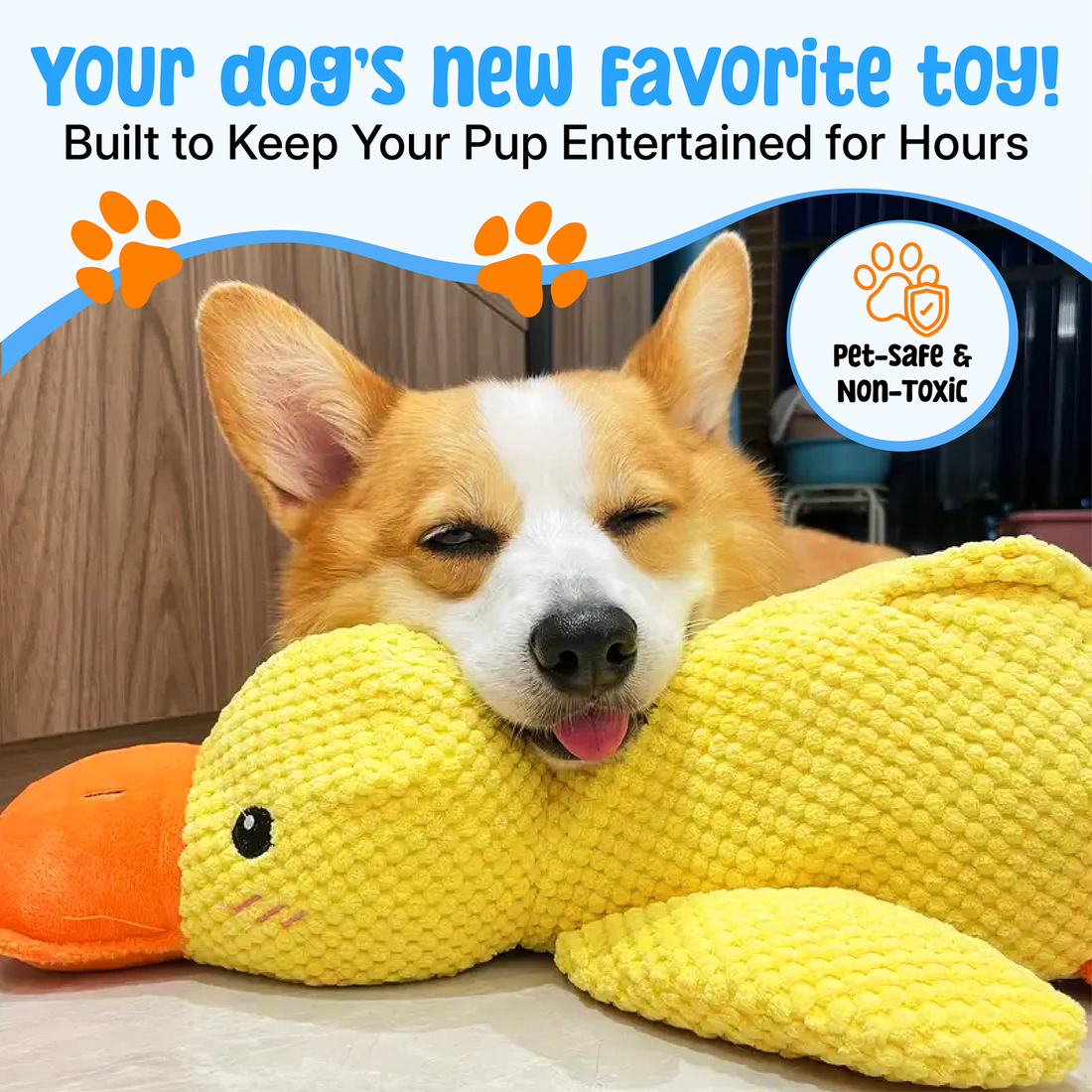 QuackGuard squeaker duck dog toy close-up detail