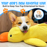 QuackGuard squeaker duck dog toy close-up detail
